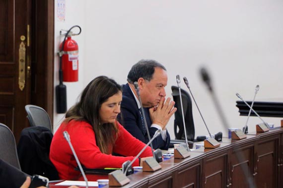Pasa a último debate la prohibición de alquiler de vientres con fines lucrativos