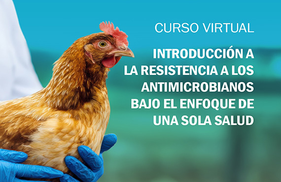 Curso virtual y gratuito 'Introducción a la resistencia a los antimicrobianos bajo el enfoque de una sola salud'