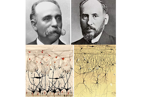 Cajal y Golgi, el primer Nobel de Medicina compartido