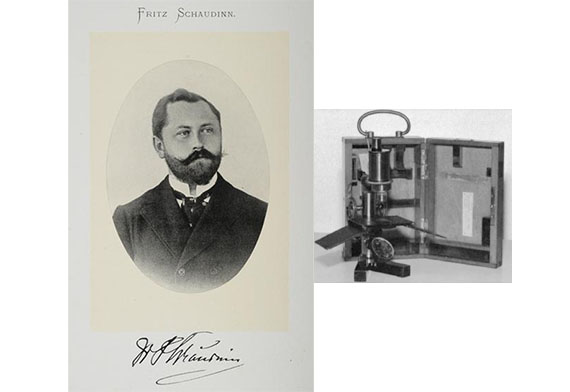Fritz Schaudinn: amibas, malaria, sífilis y protozoología