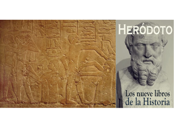 Heródoto, historiador de la medicina y la salud egipcias