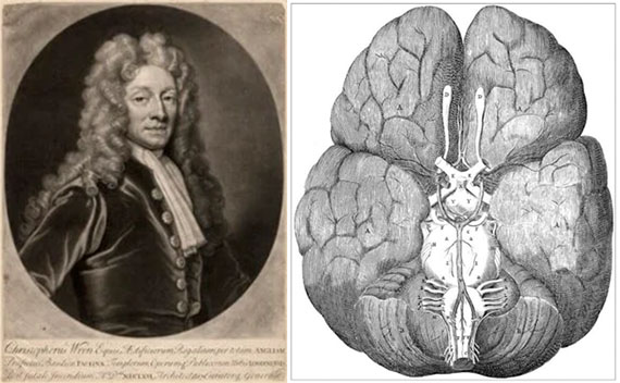 Sir Christopher Wren, la Royal Society y el Polígono de Willis