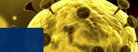 Coronavirus (2019-nCoV): evidencia relevante para cuidados críticos', virtual y gratuito