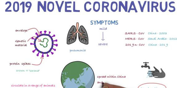 Curso online 'Nuevos virus respiratorios, incluido el COVID-19: métodos de detección, prevención, respuesta y control'