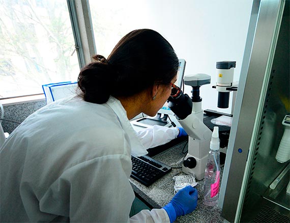 La cuantificación automática de patrones indicaría nivel de riesgo en cáncer