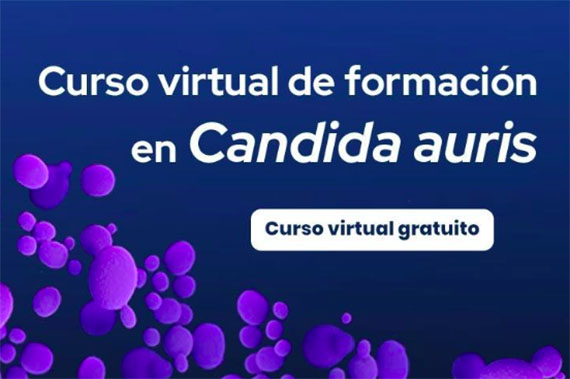 Curso virtual y gratuito 'Formación en Candida auris'