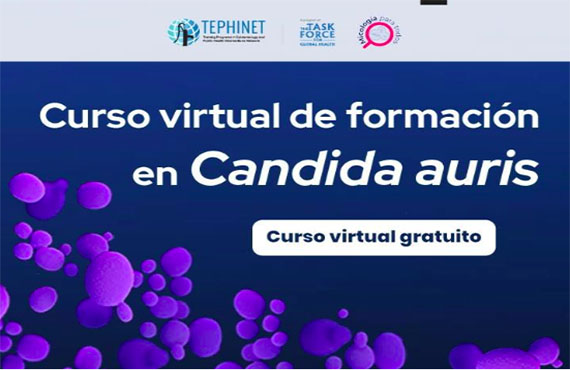 Curso virtual y gratuito 'Formación en candida auris'
