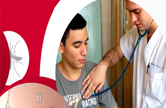 Directrices para el diagnóstico clínico y el tratamiento del dengue, el chikunguña y el zika', gratuito