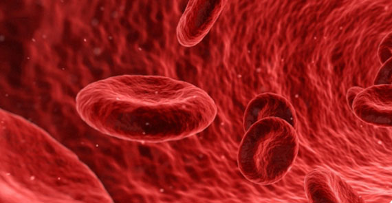 Diplomado virtual 'Inmunohematología aplicada al servicio de gestión pretransfuncional'