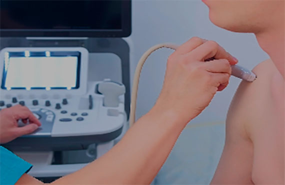 Curso en línea 'Ecografía musculoesquelética