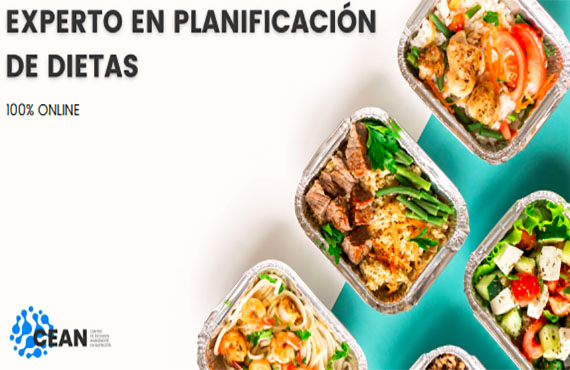 Curso online 'Experto en planificación de dietas'