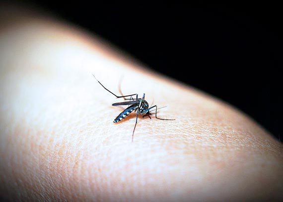 Alerta roja en el Guanía por malaria