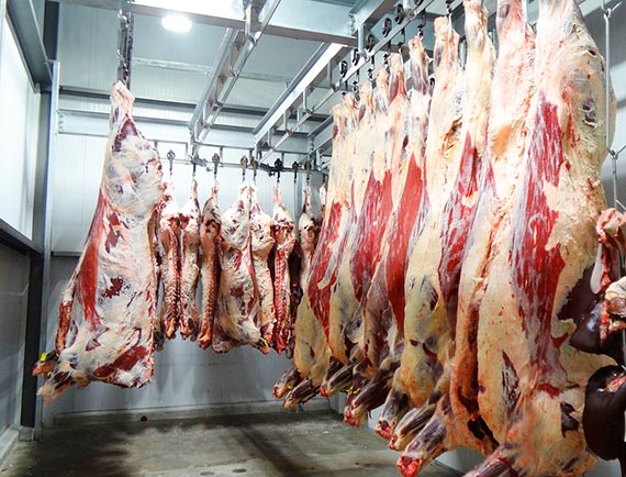 En 2017 se han clausurado 8 mataderos clandestinos y decomisado 141 toneladas de carne