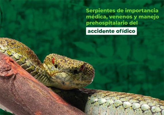 'Curso básico: serpientes de importancia médica, venenos y manejo prehospitalario del Acc. Ofídico', gratuito