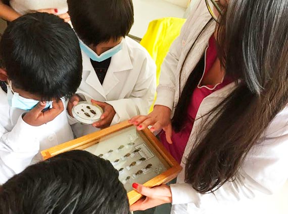 Nunchía, Támara y Soatá, pilotos en implementación de la Ruta Integral de Atención en Salud de Chagas