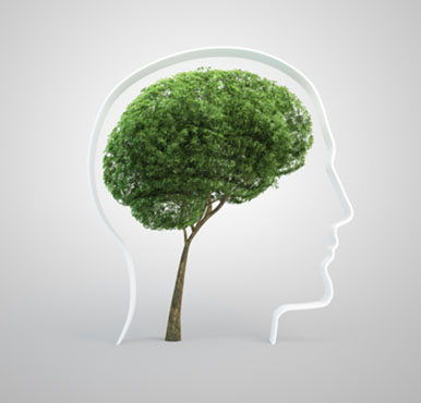 Curso gratuito 'La valoración neuropsicológica y el efecto de la escolaridad, edad y cultura', online