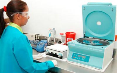 Seis empresas obtienen licencia para fabricar cannabis medicinal