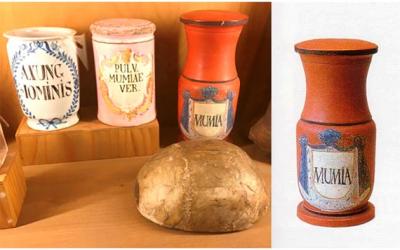 El medicinal Polvo de Momia - Cátedra - El Diario de Salud
