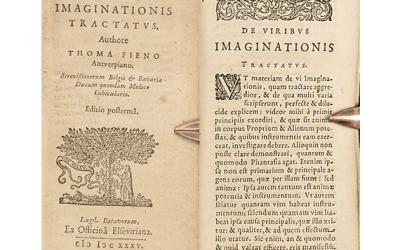 El poder de la imaginación materna en el desarrollo del feto - Cátedra - El Diario de Salud