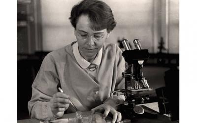 Bárbara McClintock, la primera mujer Premio Nobel de Medicina - Cátedra - El Diario de Salud