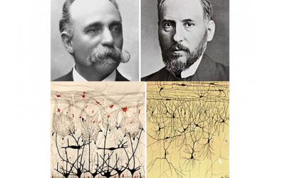 Cajal y Golgi, el primer Nobel de Medicina compartido - Cátedra - El Diario de Salud