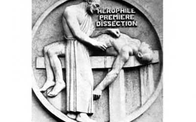 Herófilo de Calcedonia, el primer anatomista de la historia - Cátedra - El Diario de Salud