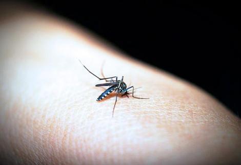 Guainía se encuentra en alerta roja por malaria