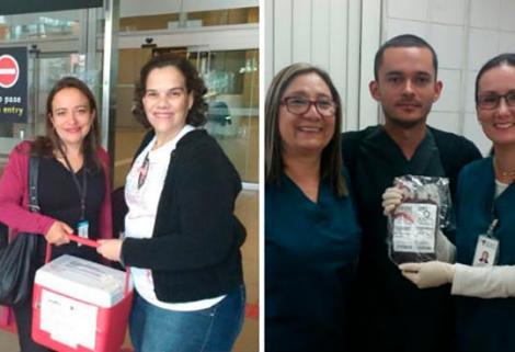 Importan de Brasil un tipo raro de sangre para salvar la vida a niña de 15 meses