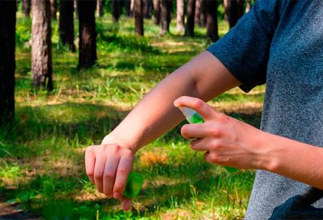 Ingeniera de la Universidad Nacional descubre un repelente natural contra los zancudos
