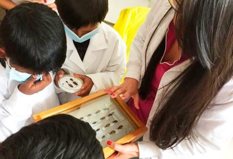 Nunchía, Támara y Soatá, pilotos en implementación de la Ruta Integral de Atención en Salud de Chagas