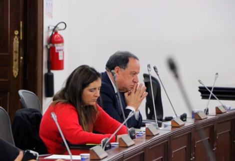 Pasa a último debate la prohibición de alquiler de vientres con fines lucrativos
