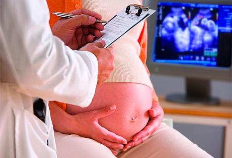 Meteorin, proteína que facilitaría la detección temprana de preeclampsia