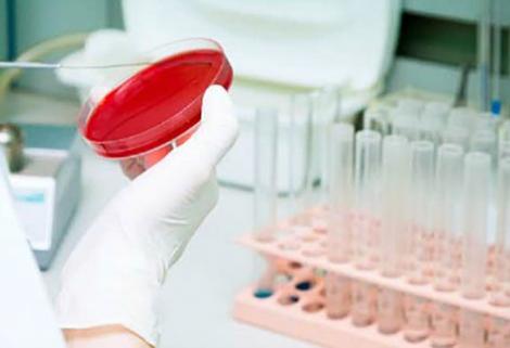 Informe de la OMS reitera la urgencia de desarrollar nuevos antibióticos ante la situación emergencia actual