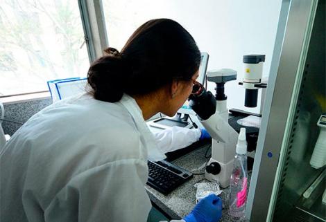 La cuantificación automática de patrones indicaría el nivel de riesgo en cáncer
