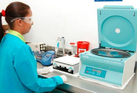 Seis empresas obtienen licencia para fabricar cannabis medicinal
