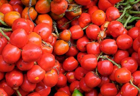 Compuestos de cáscaras de chontaduro prevendrían enfermedades del corazón