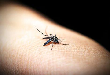 El 2020 comienza con más casos de dengue que el 2019.