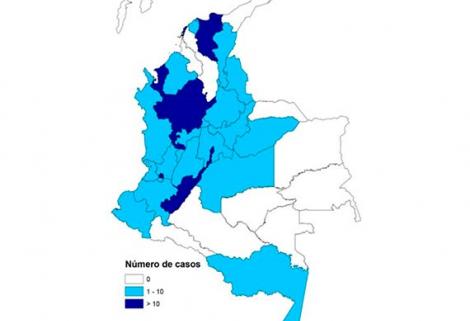 Quienes se encuentran afectados en mayor proporción por número de casos son el personal auxiliar de enfermería, el personal de medicina y el personal de enfermería.