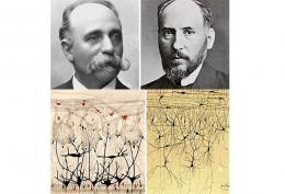 Cajal y Golgi, el primer Nobel de Medicina compartido - Cátedra - El Diario de Salud