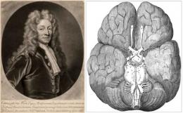 Sir Christopher Wren, la Royal Society y el Polígono de Willis - Cátedra - El Diario de Salud
